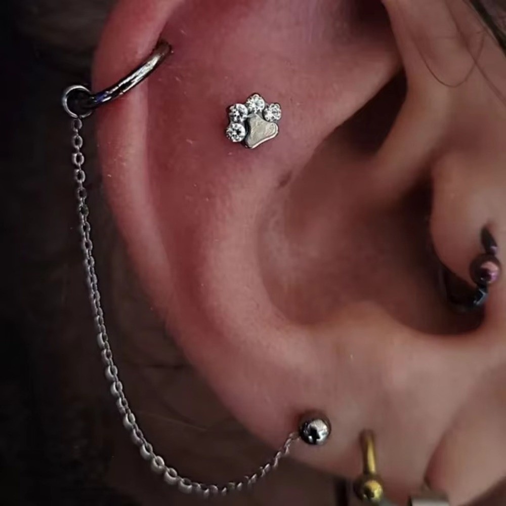 Titanium Nose Chain Three Laye - Body Jewelry Labret review and price