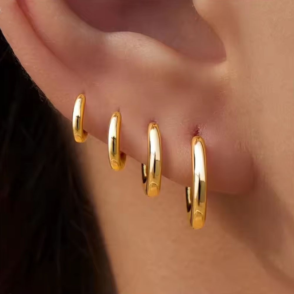 4Pairs/4Pcs Stainless Steel Ci - Helix Cartilage Ring review and price